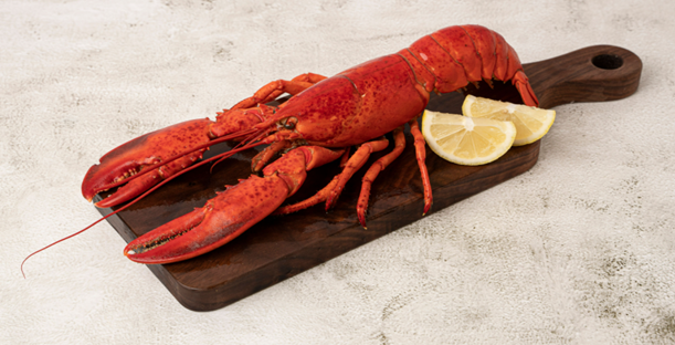 BOSTON LOBSTER