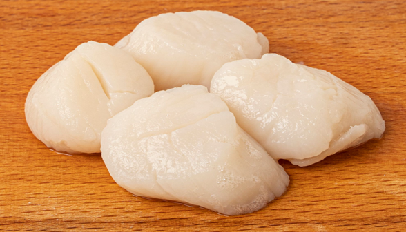 USA SCALLOPS